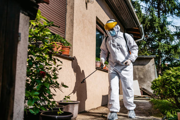 Best Pest Control for Homes  in Robbinsdale, MN