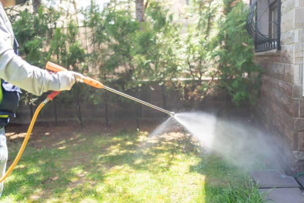 Best Best Pest Control Companies  in Robbinsdale, MN