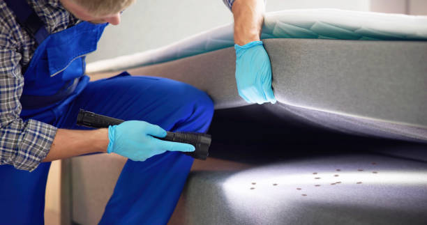 Best Cockroach Control Services  in Robbinsdale, MN