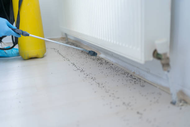 Best Mosquito Control Services  in Robbinsdale, MN